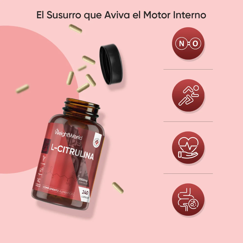Imagen del producto 3