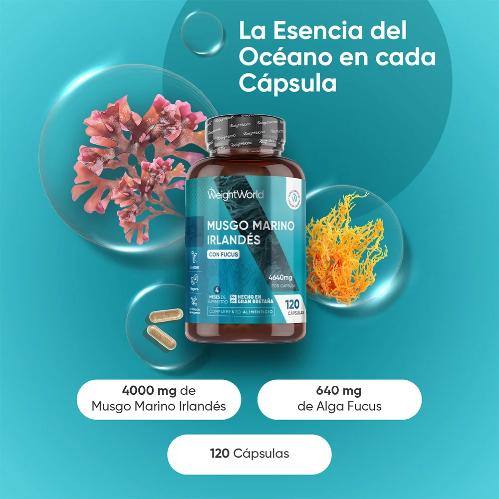 Imagen del producto 2